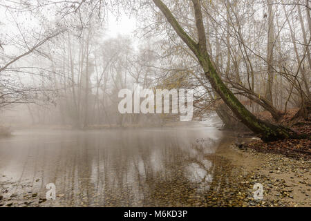 Paysages des rives du Tessin d'hiver Banque D'Images