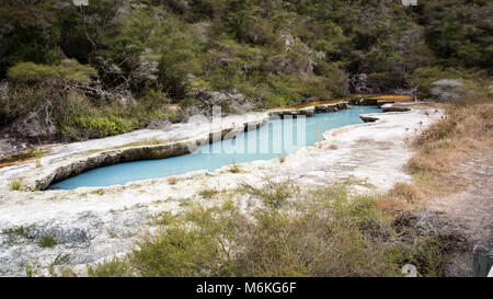 La vallée volcanique de Waimangu Lacs de silicate, Rotorua, Nouvelle-Zélande Banque D'Images