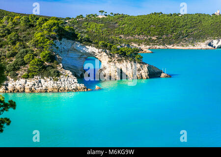 Les roches et impressionnante la mer d'azur, le Parc National du Gargano, Puglia, Italie. Banque D'Images