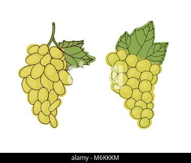 Bouquet de raisin vert Illustration de Vecteur