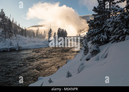 Beryl Printemps et Gibbon River. Banque D'Images