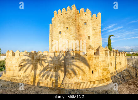Cordoue, Espagne, Andalousie. callahora tour avec ombres palmiers Banque D'Images