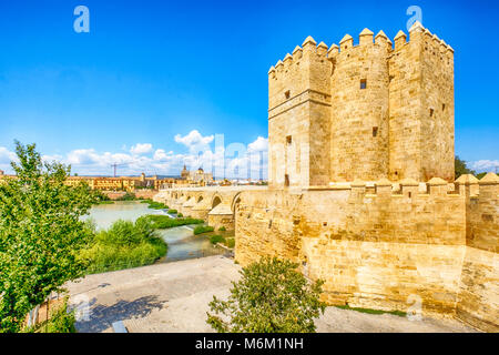 Cordoue, Espagne, Andalousie. callahora tower et du pont romain sur le Guadalquivir. Banque D'Images
