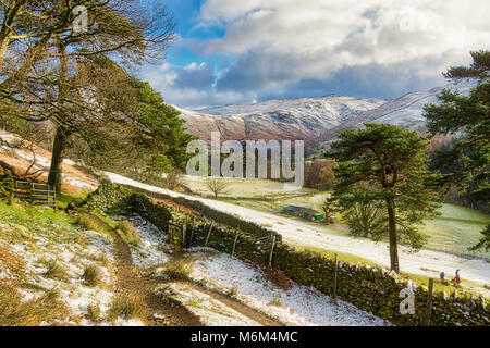 Un chemin à travers les arbres d'hiver pittoresque près de Ullswater. Banque D'Images