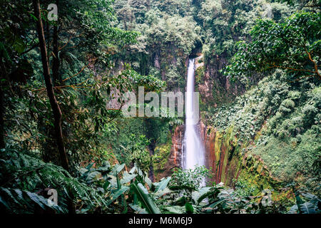 Catarata del Toro, une cascade dans la forêt tropicale, le Costa Rica Banque D'Images