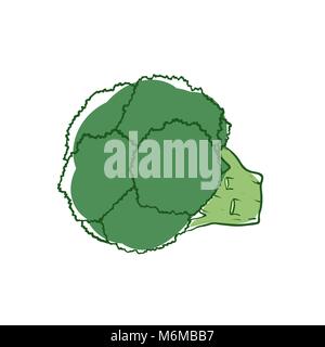 Icône vecteur isolé de brocoli mûr Illustration de Vecteur
