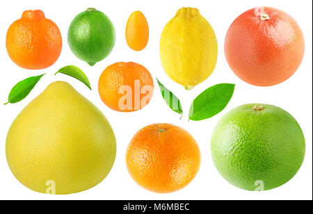 Agrumes isolés collection. Clémentine, lime, pomelo, kumquat, mandarine, citron, orange, pamplemousse rose et blanc isolé sur fond blanc Banque D'Images