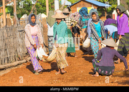 Les villageois s'engagent les travaux de construction de la route manuel West Phwar vu Village, Bagan, Myanmar (Birmanie), l'Asie en février - femmes déplacer des matériaux Banque D'Images