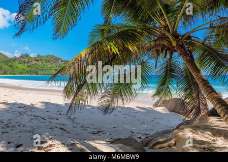 Plage tropicale Banque D'Images