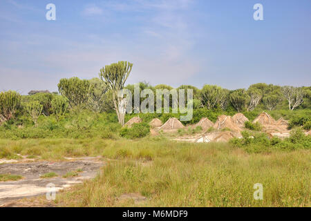 L'Ouganda, le Parc national Queen Elizabeth Banque D'Images