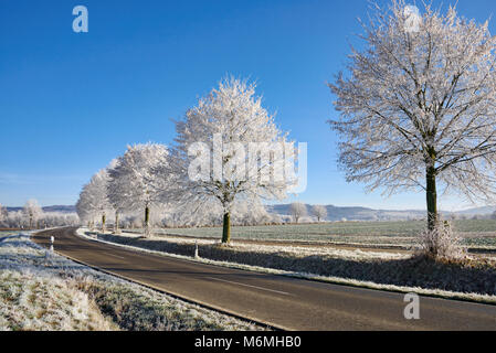 Pays vide route bordée d'arbres avec de la gelée blanche en poudre dans un paysage d'hiver sur un jour froid et ensoleillé avec ciel bleu, Rhénanie-Palatinat Banque D'Images