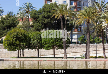 Une fontaine et des arbres dans le Jardin del Turia Parc de la ville de Valence, Espagne Banque D'Images