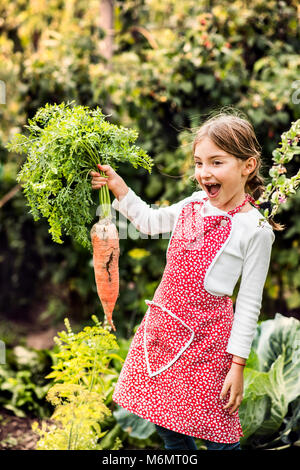 Une petite fille la cueillette des légumes sur l'attribution, avoir une grosse carotte. Banque D'Images