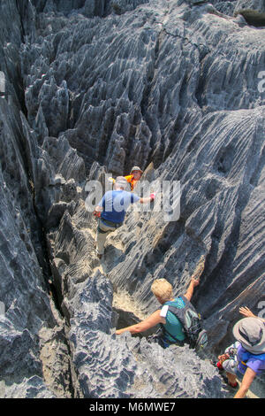 Madagascar, les Tsingy de Bemaraha - calcaire karstique érodé Banque D'Images