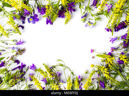 Arrangement de fleurs sauvages avec copie espace sur fond blanc Banque D'Images