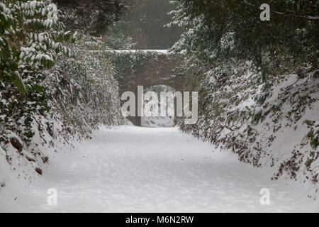 Un événement inhabituel - le village de Cockington dans le sud du Devon, UK avec une couverture de neige, d'Emma 2018 Tempête Banque D'Images