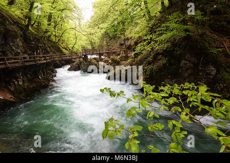 Belle promenade dans la Gorge de Vintgar à bord de marche sur les eaux émeraude de la rivière Radovna ci-dessous, la Slovénie Banque D'Images