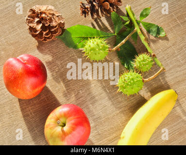 Fruits d'automne, cone, châtaignes, pommes, nectarines, bananes et de feuilles sur fond de bois Banque D'Images