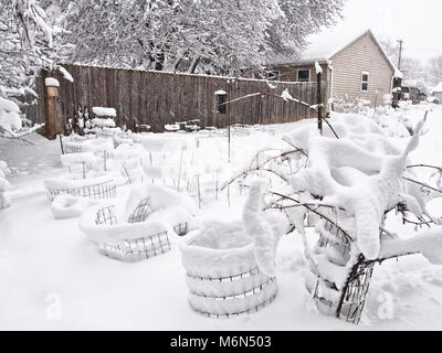 Jardin à l'arrière et des cages pour les plantes après un blizzard Banque D'Images