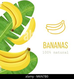 Les bananes mûres et de feuilles de palmier avec texte 100 % naturel. Étiquette bande verticale. l'espace libre. Illustration de Vecteur