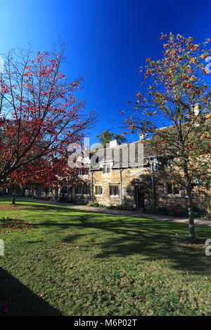 Les cerisiers d'automne, le lord Burghley hospices de l'hôpital, le Géorgien bourg de Stamford, Lincolnshire, Angleterre, RU Banque D'Images