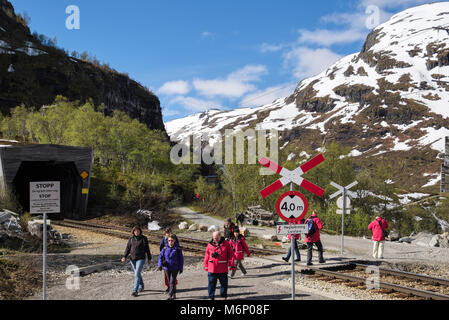 Les touristes à pied sur un passage à niveau de la voie d'une ligne de chemin de fer Flam vue. Vatnahelsen, Aurland, Norvège, Scandinavie, Europe Banque D'Images