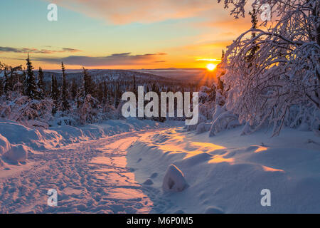 Paysage d'hiver dans la lumière directe au coucher du soleil avec une route dont les pistes enneigées, les bouleaux et les épinettes et de belle couleur dans le ciel, Gällivare, Suédois Lapla Banque D'Images