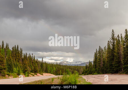 Une route à deux voies avec une pelouse d'herbe verte entre les rangées, une forêt de sapins le long des bords de la route, des montagnes enneigées en arrière-plan, un gris Banque D'Images