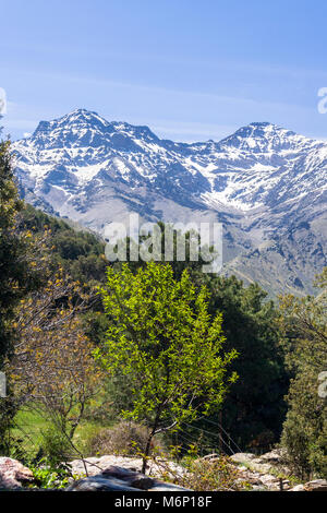 La Sierra Nevada. Mulhacen, 3.478,6 m, la plus haute montagne de la péninsule ibérique et de la Alcazaba, 3,371 m (à gauche ) pics dans la face nord de la sier Banque D'Images