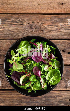 Salade fraîche mélange d'Épinards, roquette, basilic et la bette. La cuisine Italienne Banque D'Images