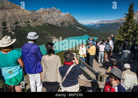 Foule de touristes en vue de Peyto Lake, de la promenade des Glaciers, Canadian Rockies, Banff National Park, Alberta, Canada Banque D'Images