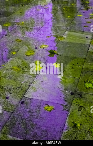 Réflexions d'immeubles sur une chaussée mouillée avec les flaques d'eau et de feuilles mortes à Madrid. Banque D'Images