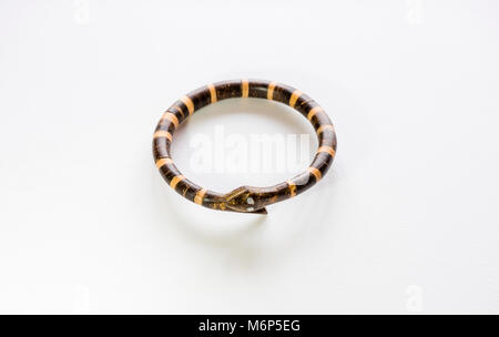 Conçu en bois indonésien et bracelet fait main en forme de deux serpents sur fond blanc Banque D'Images