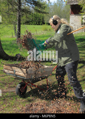 Jeune homme travaillant avec le ratissage des feuilles dans le jardin tout en écoutant de la musique sur le casque Banque D'Images