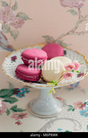 Macarons pastels sur une plaque avec un fond floral. Banque D'Images