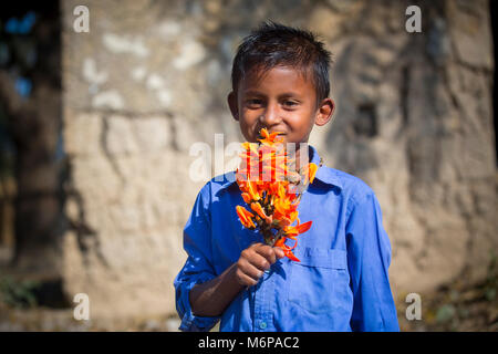 Un enfant connaît avec spring flower de palash. Banque D'Images