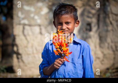 Un enfant connaît avec spring flower de palash. Banque D'Images