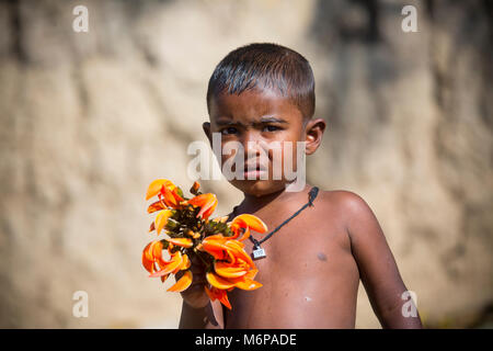 Un enfant connaît avec spring flower de palash. Banque D'Images