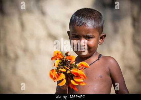 Un enfant connaît avec spring flower de palash. Banque D'Images