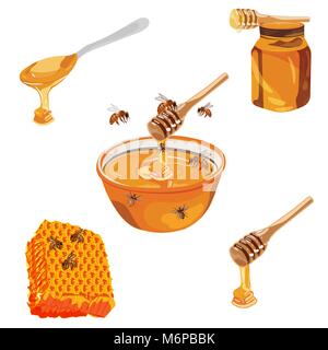 Miel de fleurs naturelles cadre coloré avec des abeilles Les abeilles fleurs Daisy Illustration de Vecteur