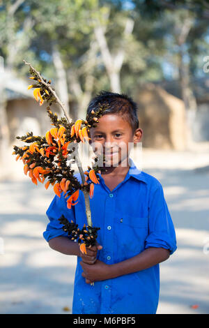 Un enfant connaît avec spring flower de palash. Banque D'Images