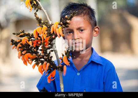 Un enfant connaît avec spring flower de palash. Banque D'Images