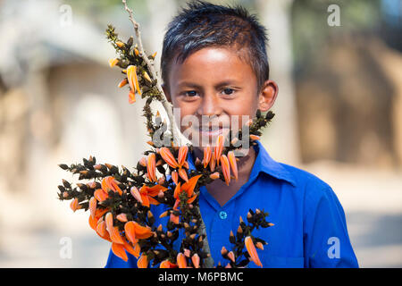 Un enfant connaît avec spring flower de palash. Banque D'Images
