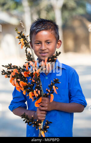 Un enfant connaît avec spring flower de palash. Banque D'Images