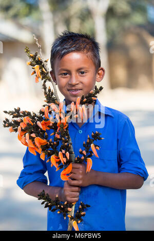 Un enfant connaît avec spring flower de palash. Banque D'Images