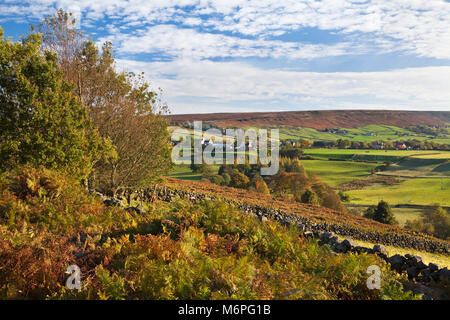 Eskdale en automne North York Moors North Yorkshire Banque D'Images