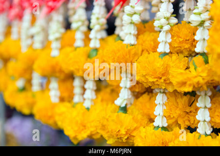 Guirlande de fleurs jaune contient les fleurs de la couronne et de souci Banque D'Images