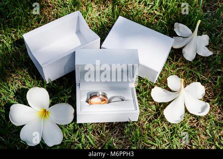 Les anneaux de mariage en boîte blanche sur l'herbe, cliché pris au cours de préparation Banque D'Images