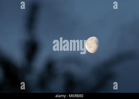 Kidderminster, UK. 6 mars, 2018. Météo France : tôt le matin, un ciel lumineux montrent clairement la lune dans sa phase Gibbeuse dans le ciel au-dessus de Worcestershire. Credit : Lee Hudson/Alamy Live News Banque D'Images