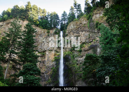 De l'Oregon. Multnomah Falls le long de la rivière Columbia historique l'autoroute. C'est l'une des plus hautes chutes dans le pays et est le plus visité des loisirs Banque D'Images